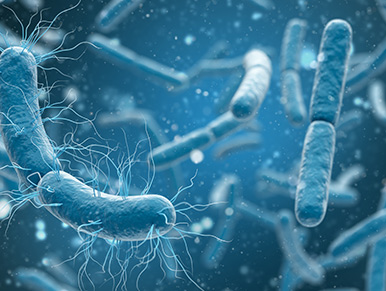 Manutenzione batterie scambio aria trento Illustrazione al microscopio di batteri